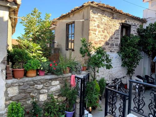 Vrisaki 81400, Lemnos Island in Mirina