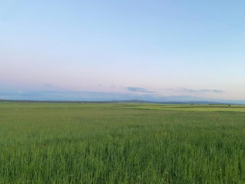 House in nature with a spa and large garden gîte à louer Papatrigo