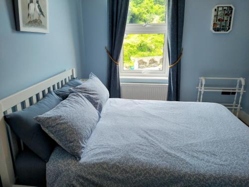 Eddies by the Sea, Ilfracombe (fotografie 7)
