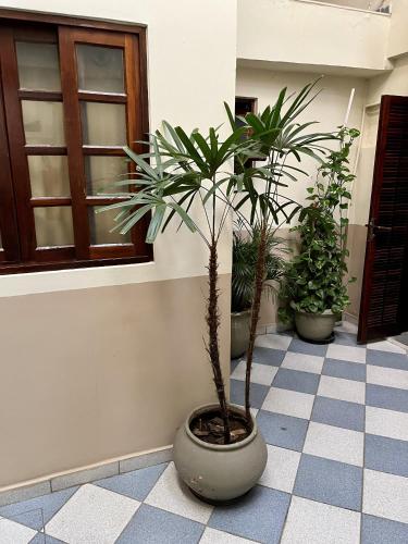 Hotel Aeroporto de Congonhas, São Paulo (fotografie 9)