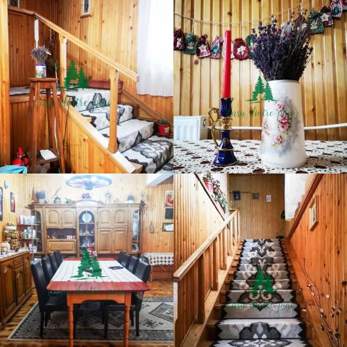 Közös társalgó / TV, Casa dintre Pini Agapia in Agapia