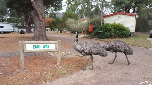 Breeze Holiday Parks - Grampians