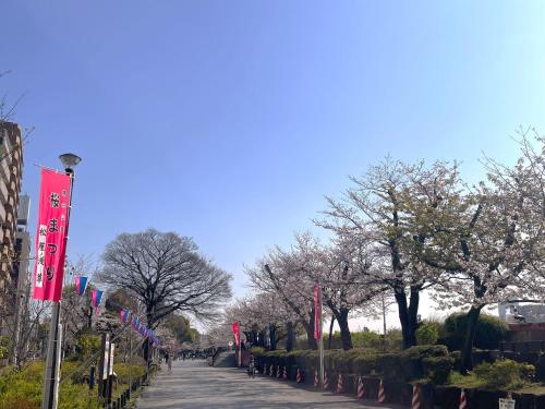 ホテル アマネク 浅草桜橋