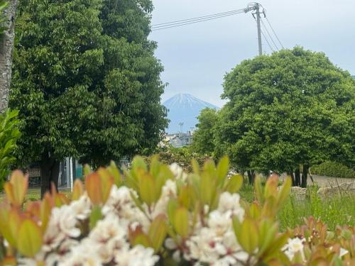 山海a, Shizuoka (foto 6)
