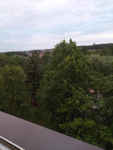 Kawalerka 30 metrów