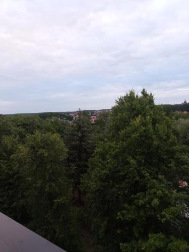 Kawalerka 30 metrów