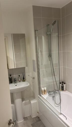 Paddington Flat with large terrace, Londra (foto 3)