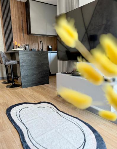 Smart Apart 62, City Center Kielce, main Square, FV, Targi, Sienkiewicza, Centrum, Kielce (fotografie 6)