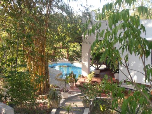 View, Tropical Garden House in Kilifi