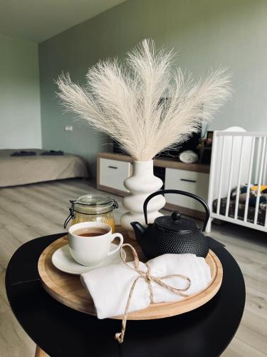 設施, JD apartment in 奥佐利厄奇