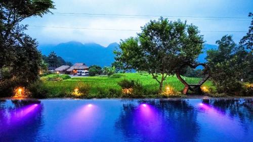 Pu Luong Jungle Lodge - 수영장
