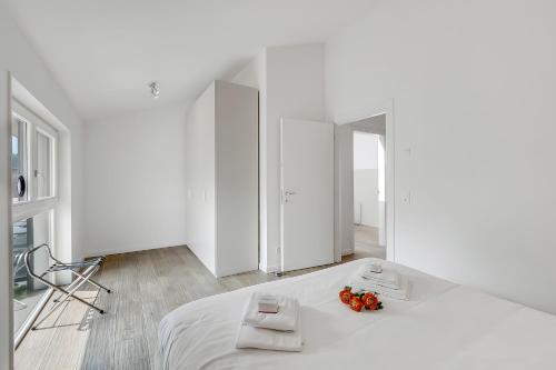 Viganello Modern Apartments