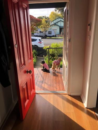 Cottage on Lords in Orange