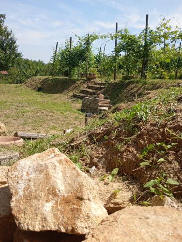 Rive rosse in Masserano