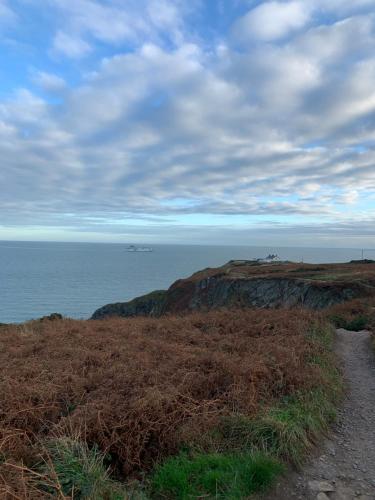 Howth Village Apartment 2, Dublin (fotografie 7)