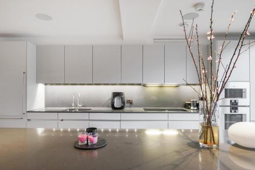 Mayfair Residences, Londyn (zdjęcie 9)