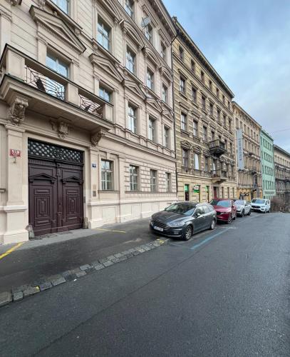 Wenceslas square apartment 150 m2 5