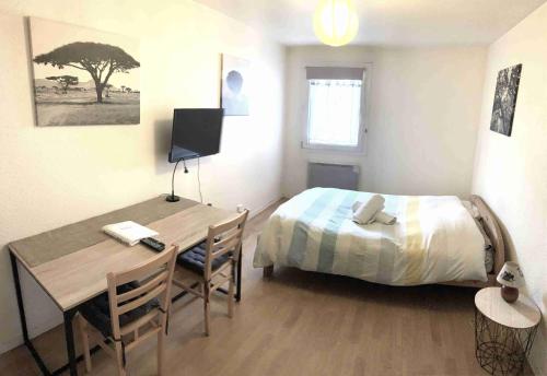 Studio ARBOLES - Location saisonnière - Chambéry