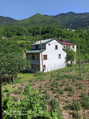 Hamsiköy Vadi Konaklama