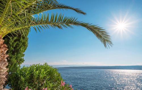 บริการและสิ่งอำนวยความสะดวก, Villa Palace Clara Apartment 1 island Krk by Villa in วันตาชิชิ