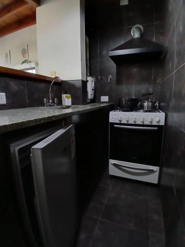 Ochava 100, Chascomús (zdjęcie 7)