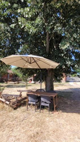 Vila Country Mornings in كراجوجفاك