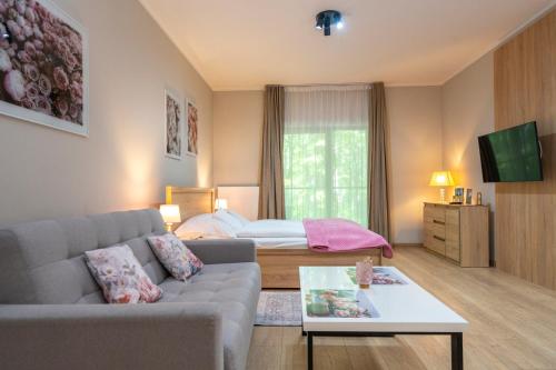 Karkonosky Apartamenty - Różany, Szklarska Poręba (foto 3)