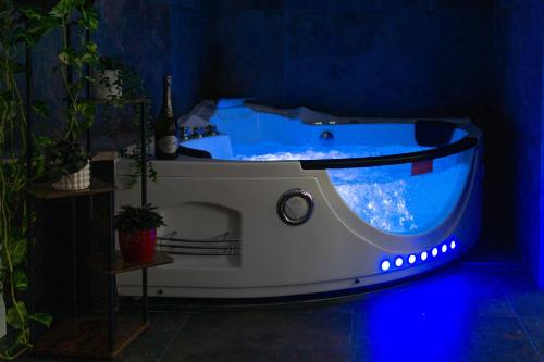 Aurelia Garden Suite, Roma (foto 7)
