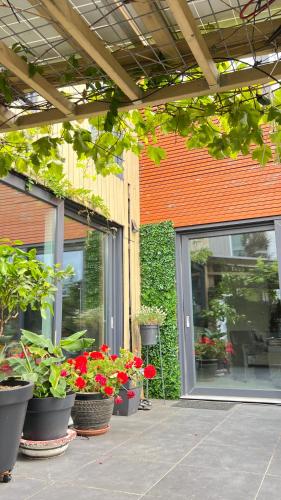 ระเบียง/ชานเรือน, Two nice rooms in residential area with private bathroom in อัลเมีย์