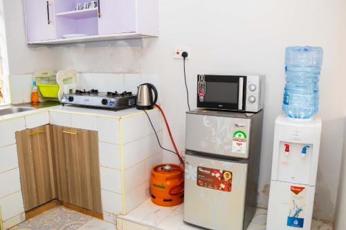 Modern favour TWO BEDROOM Apartments in Shirere