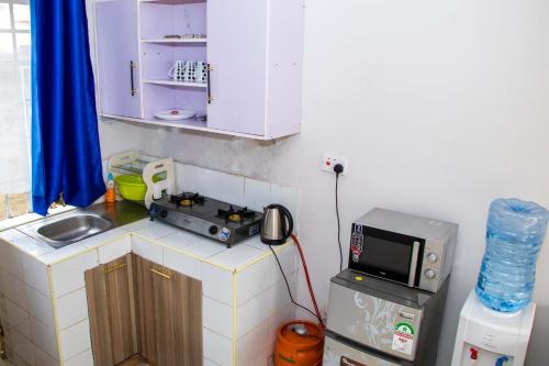 Modern favour TWO BEDROOM Apartments in Shirere