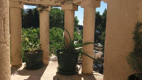 Apartment Jadranka, Split (foto 9)