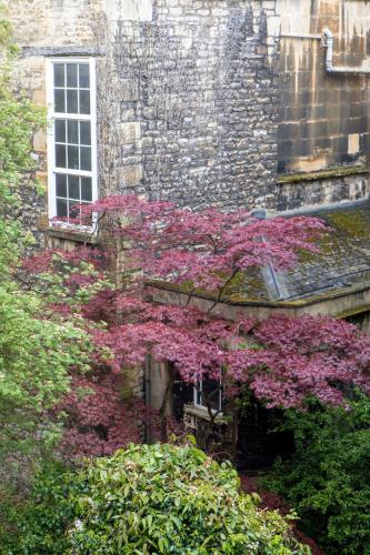 Pierrepont House in Bath