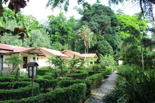 Ecolodge Bukit Lawang Cottages