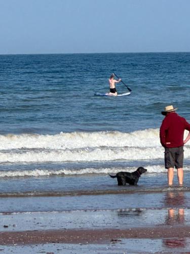 Bliss on the Bay at Waterside Holiday Park, Paignton (zdjęcie 3)