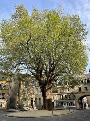 Bijou Beauty - Bath Abbey, Bath (photo 3)