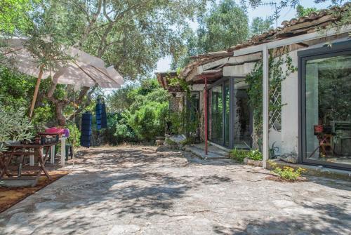 Limonaia in Salento - image 12