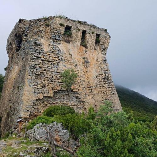 Il Villaggio Hotel Residence Lì Cylentos Elios a 100 mt dal mare cilentomarexperience – Policastro Bussentino, 