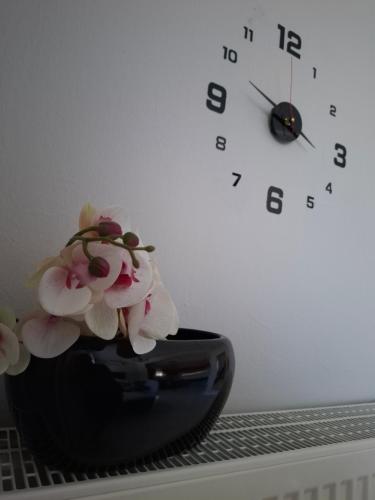 Titi's home gîte à louer Néa Fylí