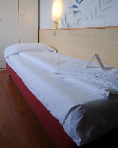 Single room, mountain view