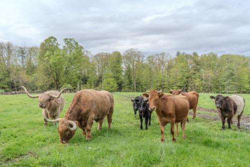 D-Miles Smith Farm Suite in 勞敦