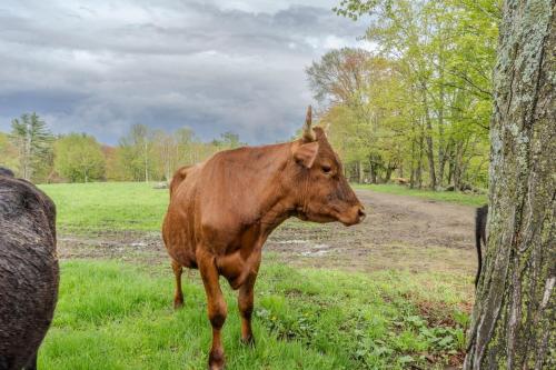 D-Miles Smith Farm Suite in 勞敦