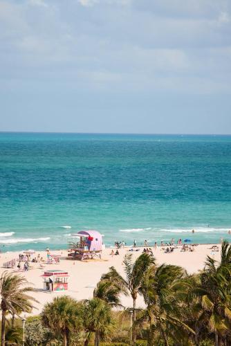 Shelborne South Beach - image 12