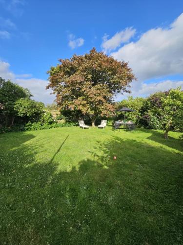 Garden flat in Carmarthen in Carmarthen Városközpont