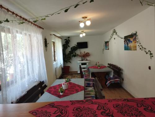 Iekārtas, Cabana Dănuțza (Cabana Danutza) in Arieseni
