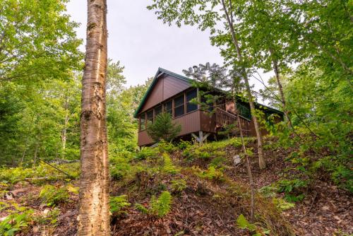 Moose Point Cabin, Greenville