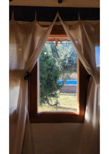 One-Bedroom Apartment image 2