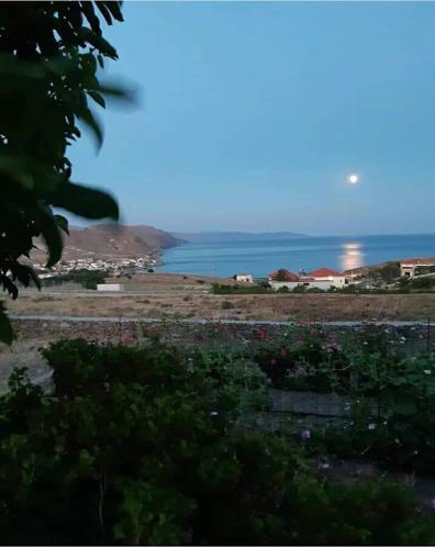 dilemi 3 in Tavari