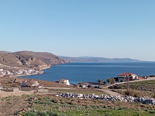 dilemi 3 in Tavari