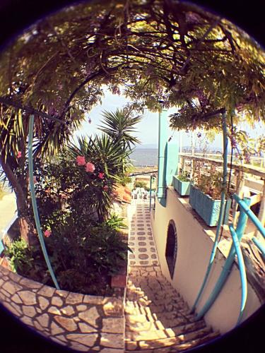 Benitsa Beach Hotel